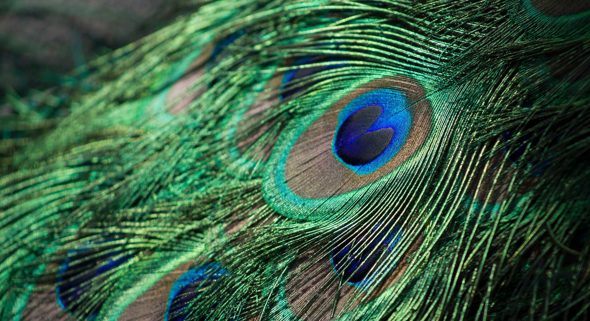 it-is-not-your-job-blog-thumb